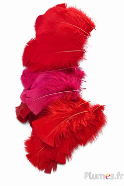 Pute - 6-8 cm - Nuancen von Rot